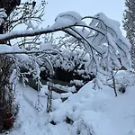 Am Stiessberg Oberstaufen
