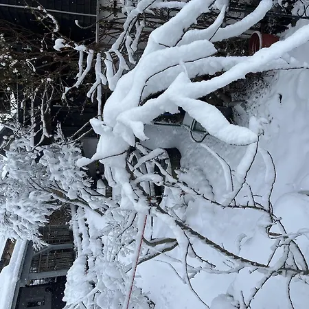 Am Stiessberg Oberstaufen