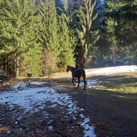 Apartamento Am Stiessberg *
